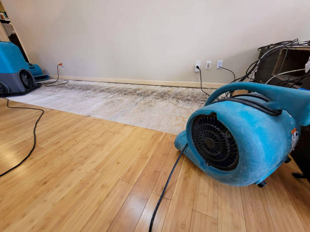 Professional Structural Drying technician working in North Wales, PA